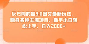 反方向的蛙3.0图文最新玩法,隐身各种主流项目,新手小白轻松上手,日入2000+【揭秘】|第一资源库