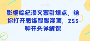 影视综纪漫文案引爆点,给你打开思维醍醐灌顶,255种开头详解课|淘骐网赚资源库