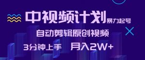 中视频计划暴力起号,自动剪辑原创视频,3分钟上手,月入2W+【揭秘】|淘骐网赚资源库