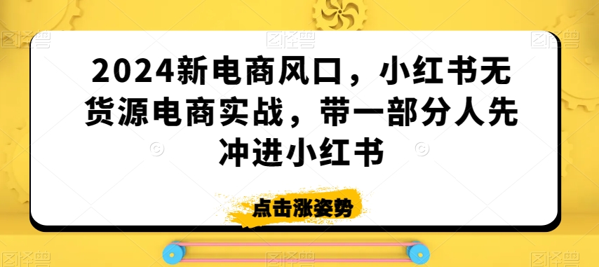 2024新电商风口,小红书无货源电商实战,带一部分人先冲进小红书|淘骐网赚资源库