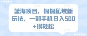 蓝海项目,探探私域新玩法,一部手机日入500+很轻松【揭秘】|淘骐网赚资源库