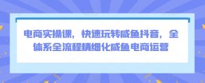 电商实操课,快速玩转咸鱼抖音,全体系全流程精细化咸鱼电商运营|淘骐网赚资源库