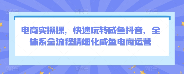 电商实操课，快速玩转咸鱼抖音，全体系全流程精细化咸鱼电商运营|淘骐网赚资源库