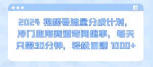 2024视频号流量分成计划，冷门监海赛道奇闻趣事，每天只需30分钟，轻松目赚 1000+【揭秘】|淘骐网赚资源库