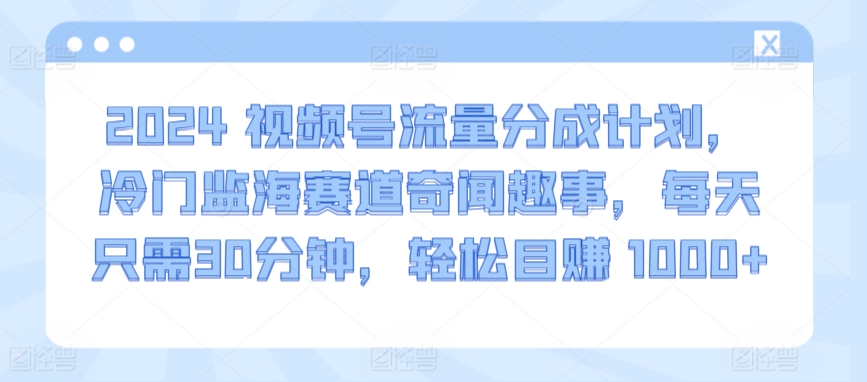 2024视频号流量分成计划，冷门监海赛道奇闻趣事，每天只需30分钟，轻松目赚 1000+【揭秘】|淘骐网赚资源库