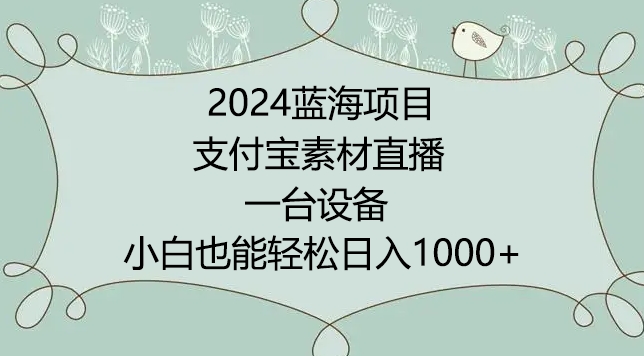 2024年蓝海项目,支付宝素材直播,无需出境,小白也能日入1000+ ,实操教程【揭秘】|淘骐网赚资源库