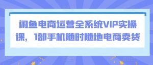 闲鱼电商运营全系统VIP实操课,1部手机随时随地电商卖货|淘骐网赚资源库