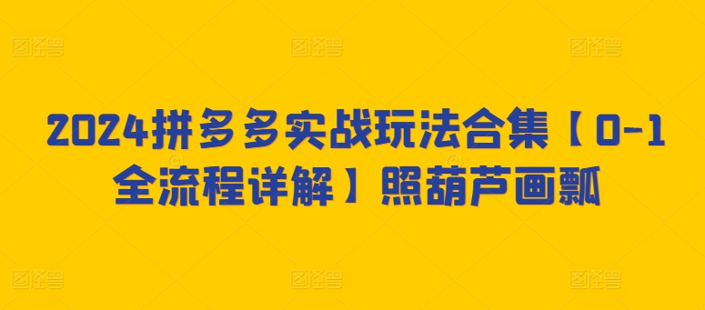 2024拼多多实战玩法合集【0-1全流程详解】照葫芦画瓢|淘骐网赚资源库