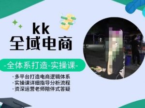 KK全域电商，全体系打造实操课，多平台打造电商逻辑体系|淘骐网赚资源库
