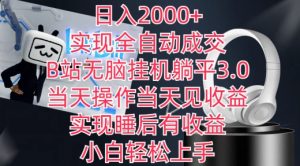 日入2000+，实现全自动成交，B站无脑挂机躺平3.0，当天操作当天见收益，实现睡后有收益【揭秘】|淘骐网赚资源库