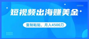 短视频出海赚美金，复制粘贴批量操作，小白轻松掌握，月入4500美刀【揭秘】|淘骐网赚资源库