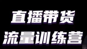 直播带货流量训练营，小白主播必学直播课|淘骐网赚资源库