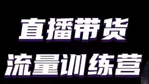 直播带货流量训练营，小白主播必学直播课|淘骐网赚资源库