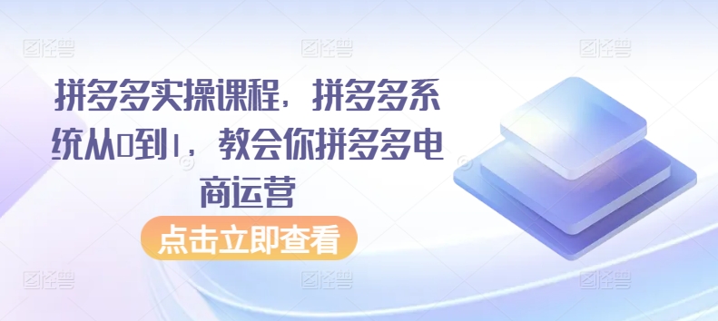 拼多多实操课程,拼多多系统从0到1,教会你拼多多电商运营|淘骐网赚资源库