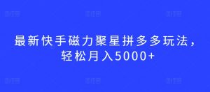 最新快手磁力聚星拼多多玩法，轻松月入5000+【揭秘】|淘骐网赚资源库