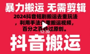2024最新抖音搬运技术,抖音短剧视频去重,手法搬运,利用工具去重,达到秒过原创的效果【揭秘】|淘骐网赚资源库