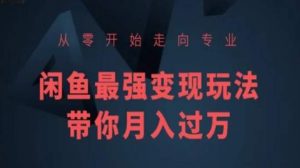 从零开始走向专业,闲鱼最强变现玩法带你月入过万|淘骐网赚资源库