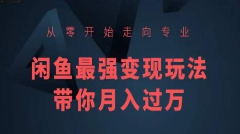 从零开始走向专业,闲鱼最强变现玩法带你月入过万|淘骐网赚资源库