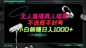 抖音24小时无人直播音乐,不违规,不封号纯撸音浪,小白实操当天日入1000+【揭秘】|淘骐网赚资源库