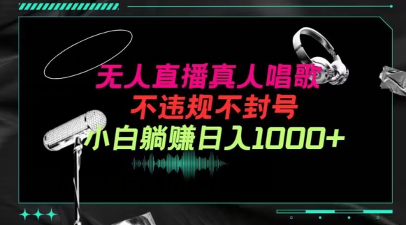 抖音24小时无人直播音乐,不违规,不封号纯撸音浪,小白实操当天日入1000+【揭秘】|淘骐网赚资源库