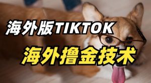 抖音海外版tiktok撸金技术，这个风口行业，赚钱真的不难【揭秘】|淘骐网赚资源库