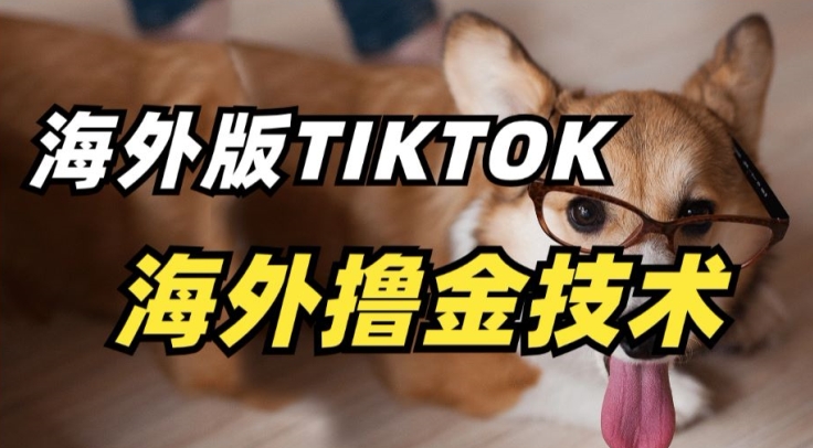 抖音海外版tiktok撸金技术,这个风口行业,赚钱真的不难【揭秘】|淘骐网赚资源库