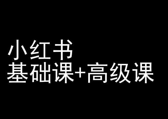 小红书基础课+高级课-小红书运营教程|淘骐网赚资源库