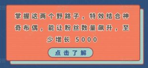 掌握这两个野路子,特效结合神奇布偶,能让粉丝数量飙升,至少增长 5000【揭秘】|淘骐网赚资源库