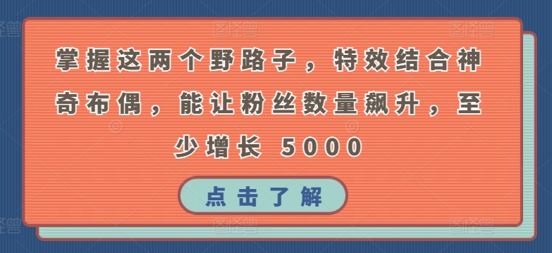 掌握这两个野路子,特效结合神奇布偶,能让粉丝数量飙升,至少增长 5000【揭秘】|淘骐网赚资源库