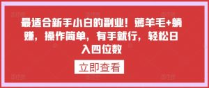 最适合新手小白的副业!薅羊毛+躺赚,操作简单,有手就行,轻松日入四位数【揭秘】|淘骐网赚资源库