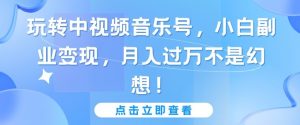 玩转中视频音乐号,小白副业变现,月入过万不是幻想【揭秘】|淘骐网赚资源库