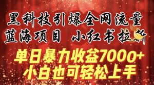 蓝海项目!黑科技引爆全网流量小红书拉新,单日暴力收益7000+,小白也能轻松上手【揭秘】|淘骐网赚资源库
