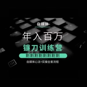 自媒体年入百万镰刀训练营,割割割割割割割割,自媒体心法+实操全套流程|淘骐网赚资源库