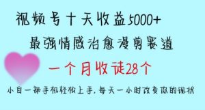 十天收益5000+,多平台捞金,视频号情感治愈漫剪,一个月收徒28个,小白一部手机轻松上手【揭秘】|淘骐网赚资源库