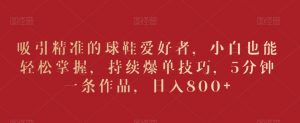 吸引精准的球鞋爱好者，小白也能轻松掌握，持续爆单技巧，5分钟一条作品，日入800+【揭秘】|淘骐网赚资源库