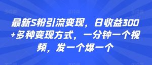 最新S粉引流变现,日收益300+多种变现方式,一分钟一个视频,发一个爆一个【揭秘】|淘骐网赚资源库