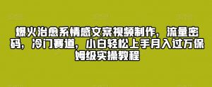 爆火治愈系情感文案视频制作，流量密码，冷门赛道，小白轻松上手月入过万保姆级实操教程【揭秘】|淘骐网赚资源库