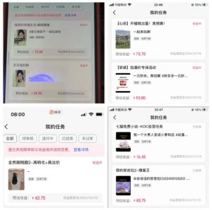 2024年3月最新，快手磁力聚星全流程实操教学，8台手机日均收益稳定100~200元【揭秘】|淘骐网赚资源库