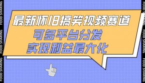 最新怀旧搞笑视频赛道,可多平台分发,实现利益最大化【揭秘】|淘骐网赚资源库