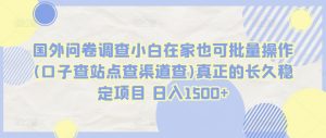 国外问卷调查小白在家也可批量操作(口子查站点查渠道查)真正的长久稳定项目 日入1500+【揭秘】|淘骐网赚资源库