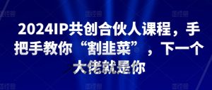 2024IP共创合伙人课程，手把手教你“割韭菜”，下一个大佬就是你|淘骐网赚资源库