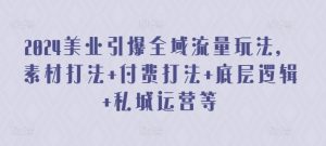 2024美业引爆全域流量玩法,素材打法 付费打法 底层逻辑 私城运营等|淘骐网赚资源库