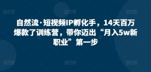 自然流·短视频IP孵化手,14天百万爆款了训练营,带你迈出“月入5w新职业”第一步|淘骐网赚资源库