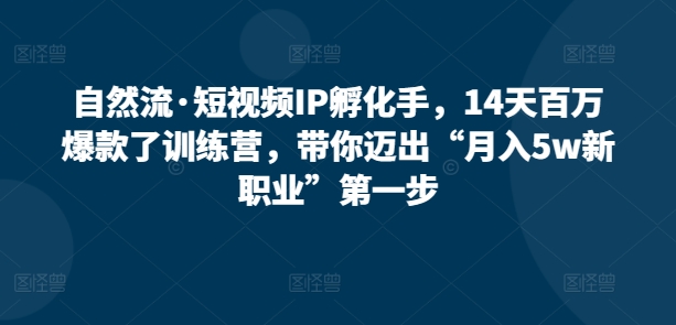自然流·短视频IP孵化手,14天百万爆款了训练营,带你迈出“月入5w新职业”第一步|淘骐网赚资源库