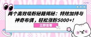两个高效吸粉秘籍揭秘：特效加持与神奇布偶，轻松涨粉5000+【揭秘】|淘骐网赚资源库