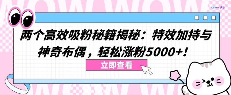 两个高效吸粉秘籍揭秘:特效加持与神奇布偶,轻松涨粉5000+【揭秘】|淘骐网赚资源库