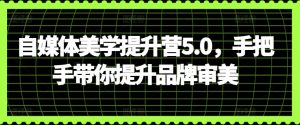 自媒体美学提升营5.0，手把手带你提升品牌审美|淘骐网赚资源库