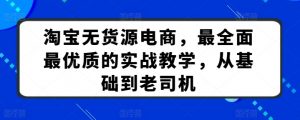 淘宝无货源电商，最全面最优质的实战教学，从基础到老司机|淘骐网赚资源库