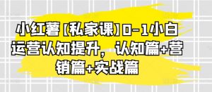 小红薯【私家课】0-1小白运营认知提升,认知篇+营销篇+实战篇|淘骐网赚资源库