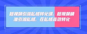 短视频引流私域转化课，短视频精准引流私域，在私域高效转化|淘骐网赚资源库